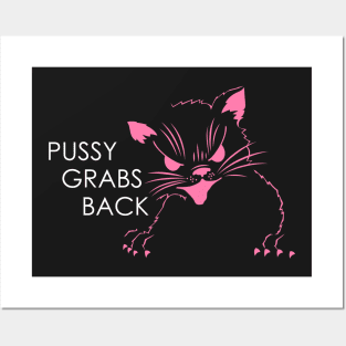 Pussy Grabs Back Posters and Art